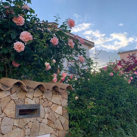 Marco'S House Villa Dolianova Екстериор снимка