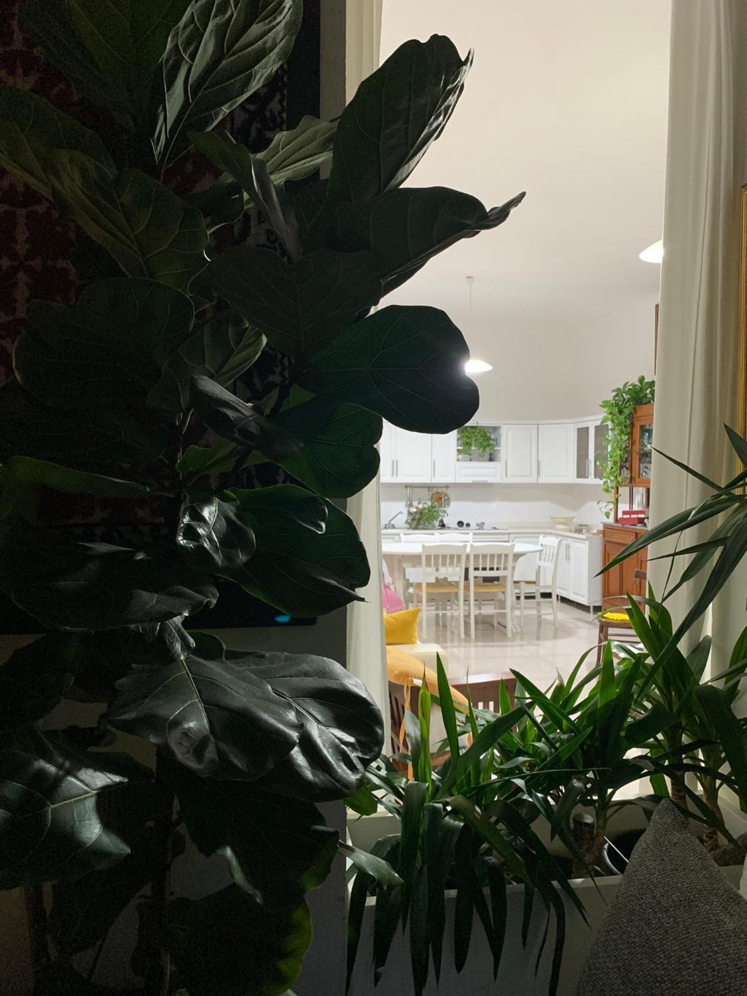 Marco'S House Villa Dolianova Екстериор снимка