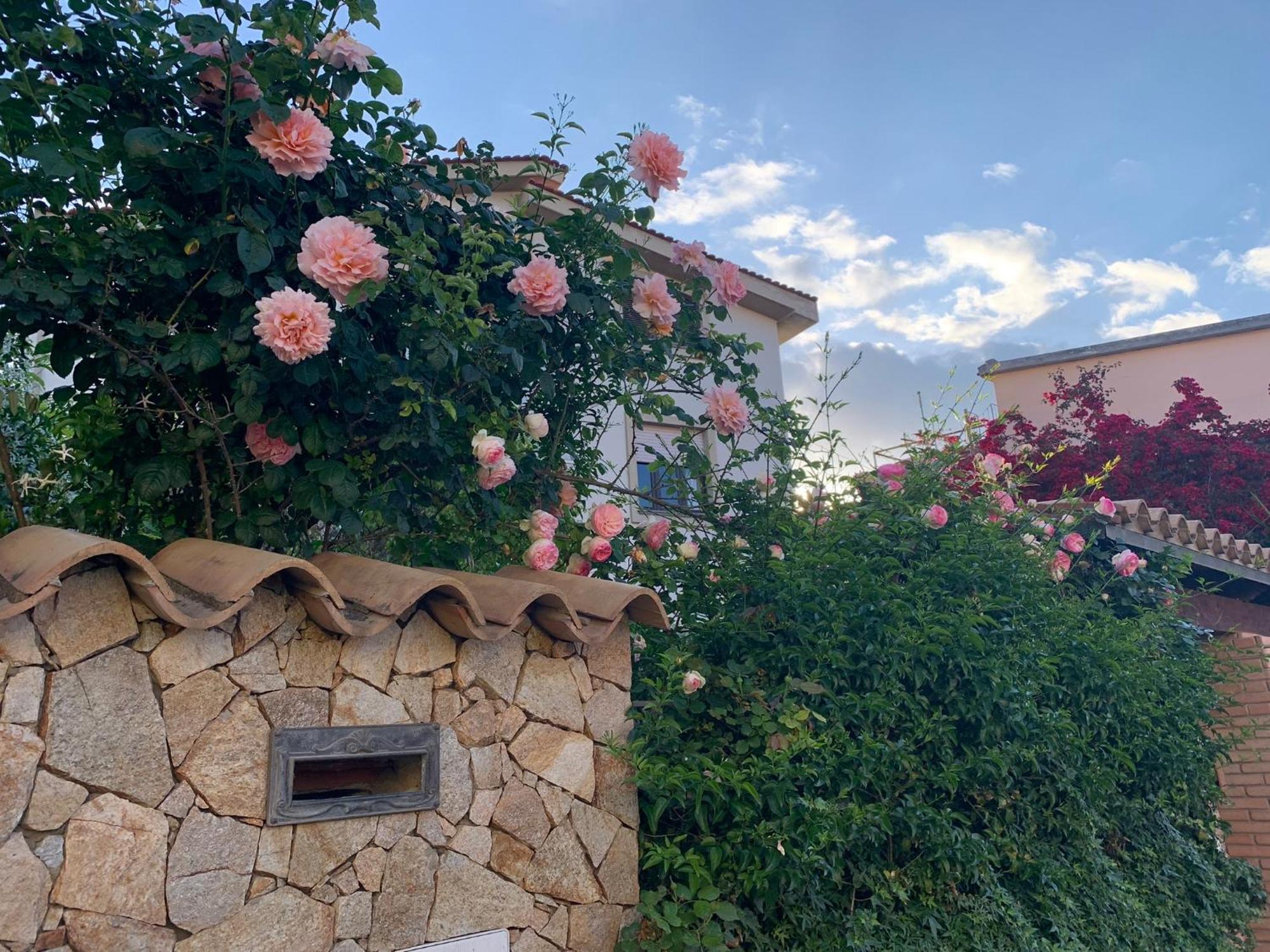 Marco'S House Villa Dolianova Екстериор снимка