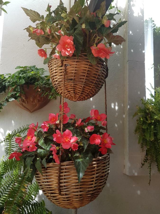 Marco'S House Villa Dolianova Екстериор снимка