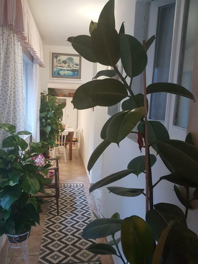 Marco'S House Villa Dolianova Екстериор снимка